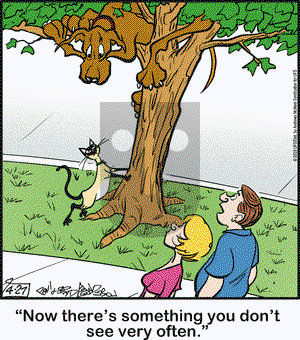 Marmaduke on Friday April 27, 2018 Comic Strip