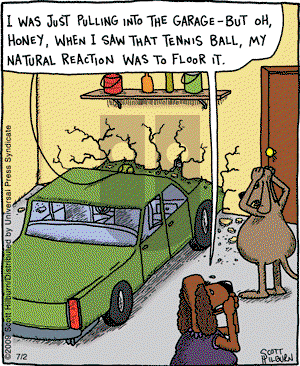 The Argyle Sweater on Thursday July 2, 2009 Comic Strip
