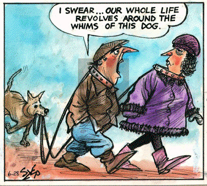 Today's Szep on Wednesday October 19, 2022 Comic Strip