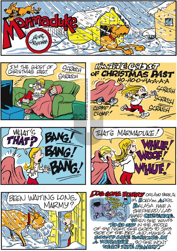 Marmaduke on Sunday December 9, 2012 Comic Strip