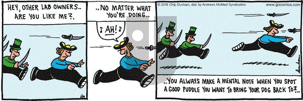 Overboard on Friday January 19, 2018 Comic Strip
