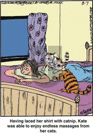 Close to Home on Wednesday August 7, 2013 Comic Strip