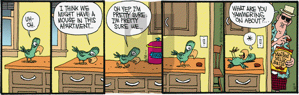 Monty on Monday September 13, 2010 Comic Strip