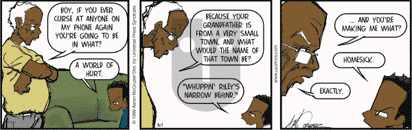 The Boondocks on Thursday June 1, 2006 Comic Strip