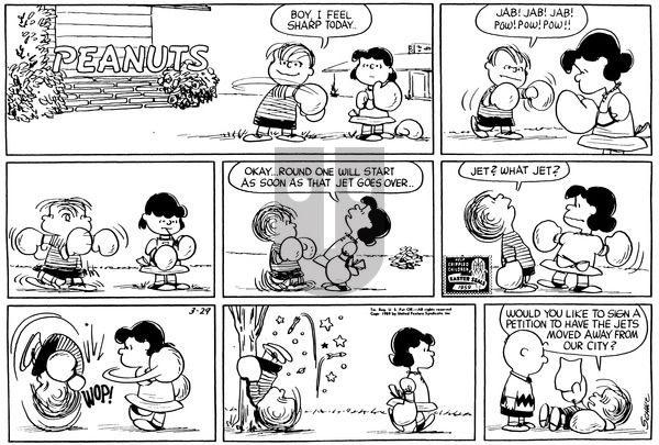 Peanuts on Sunday March 29, 1959 Comic Strip