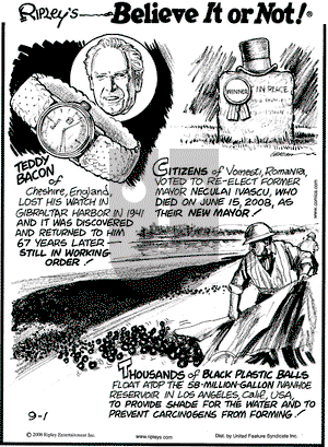 Ripley's Believe It or Not on Monday September 1, 2008 Comic Strip