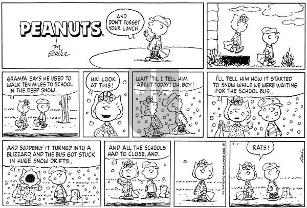 Peanuts on Sunday November 7, 1993 Comic Strip