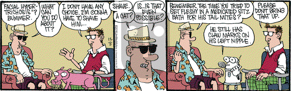 Monty on Monday December 5, 2016 Comic Strip