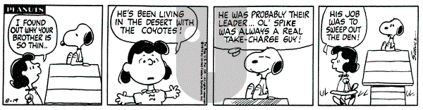 Peanuts on Tuesday August 19, 1975 Comic Strip