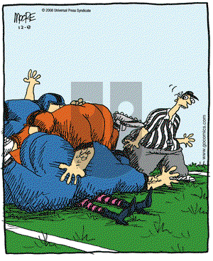 In the Bleachers on Monday December 8, 2008 Comic Strip