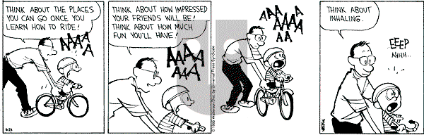 Calvin and Hobbes - Friday June 23, 1995 Comic Strip