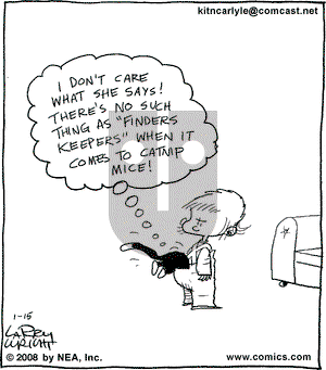 Kit 'N' Carlyle on Sunday January 27, 2008 Comic Strip