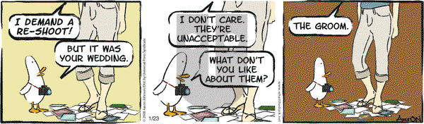 W.T. Duck on Friday January 23, 2009 Comic Strip