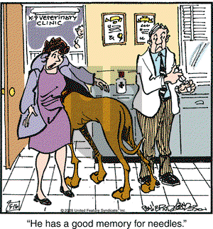 Marmaduke on Saturday May 16, 2009 Comic Strip