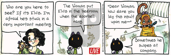 Breaking Cat News on Tuesday May 14, 2019 Comic Strip