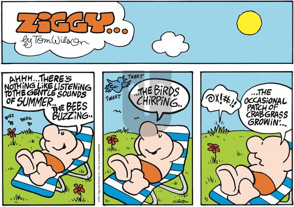 Ziggy on Sunday July 4, 2021 Comic Strip