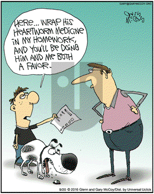 The Flying McCoys on Tuesday September 20, 2016 Comic Strip