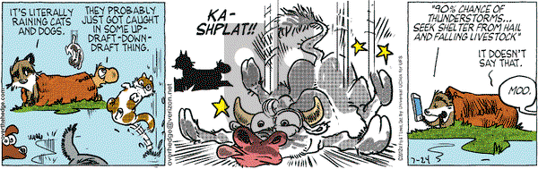 Over the Hedge on Tuesday July 24, 2012 Comic Strip
