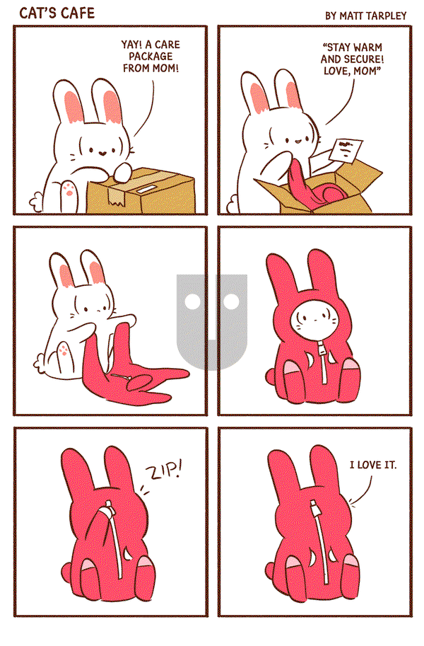 Cat's Cafe - Saturday December 14, 2019 Comic Strip