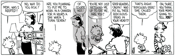Calvin and Hobbes on Wednesday January 7, 1987 Comic Strip