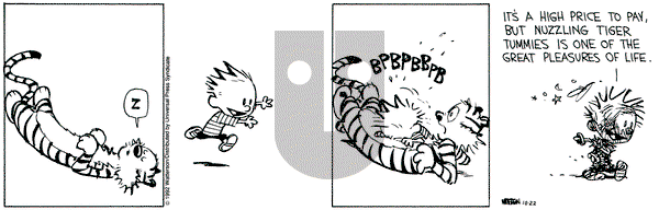 Calvin and Hobbes on Thursday October 22, 1992 Comic Strip