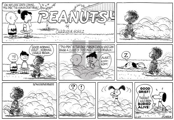 Peanuts on Sunday June 24, 1956 Comic Strip