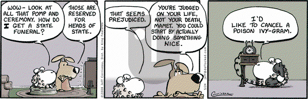 DeFlocked on Saturday May 24, 2008 Comic Strip