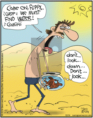 The Flying McCoys on Saturday December 14, 2019 Comic Strip