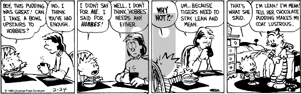 Calvin and Hobbes - Saturday February 24, 1990 Comic Strip