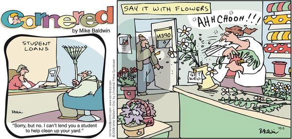 Cornered on Sunday October 5, 2008 Comic Strip