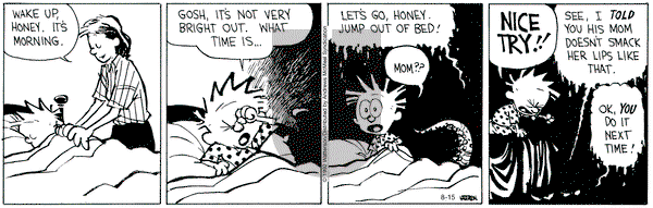 Calvin and Hobbes - Monday August 15, 2022 Comic Strip