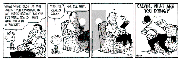 Calvin and Hobbes on Saturday September 23, 1989 Comic Strip