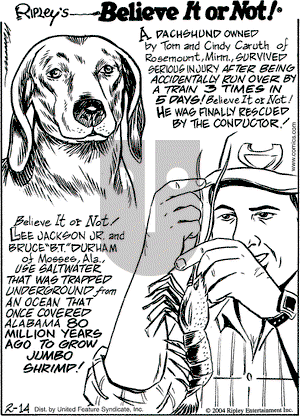 Ripley's Believe It or Not on Saturday February 14, 2004 Comic Strip