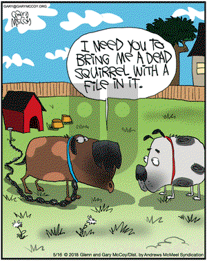 The Flying McCoys on Wednesday May 16, 2018 Comic Strip