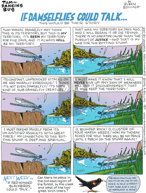 Tom the Dancing Bug on Saturday February 4, 2006 Comic Strip