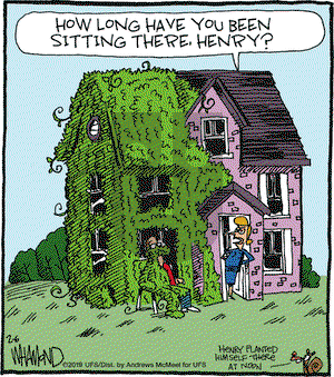 Reality Check on Wednesday February 6, 2019 Comic Strip