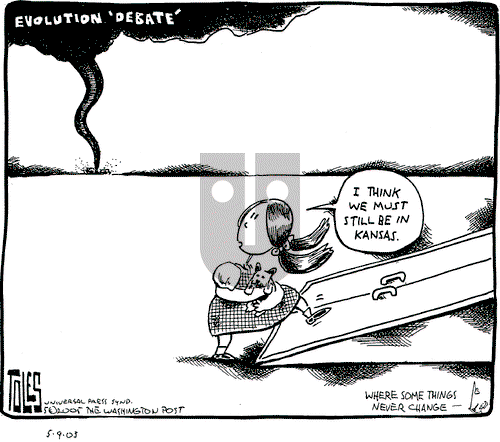 Tom Toles on Monday May 9, 2005 Comic Strip