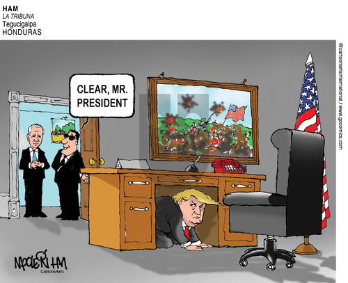ViewsLatinAmerica on Sunday November 15, 2020 Comic Strip