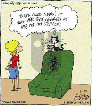 Kit 'N' Carlyle on Monday June 29, 2009 Comic Strip