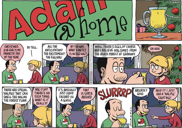 Adam@Home on Sunday December 23, 2012 Comic Strip