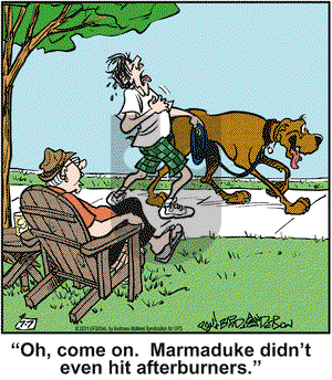Marmaduke on Wednesday July 7, 2021 Comic Strip