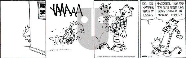 Calvin and Hobbes - Saturday February 12, 1994 Comic Strip