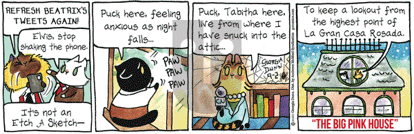 Breaking Cat News on Wednesday September 2, 2020 Comic Strip