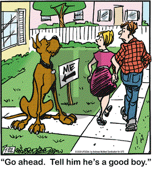 Marmaduke - Wednesday July 22, 2020 Comic Strip