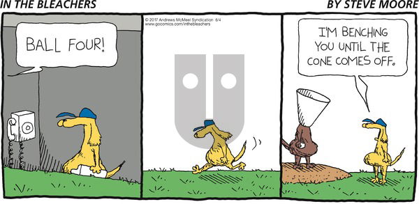In the Bleachers on Sunday June 4, 2017 Comic Strip