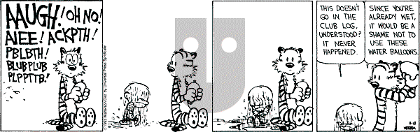 Calvin and Hobbes - Wednesday August 18, 1993 Comic Strip