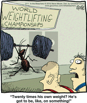 In the Bleachers on Thursday February 11, 2016 Comic Strip