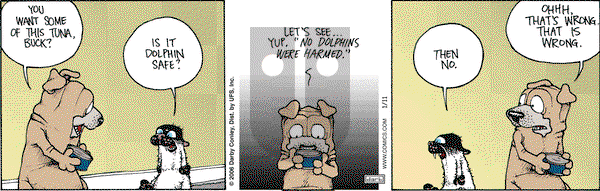 Get Fuzzy on Wednesday January 11, 2006 Comic Strip