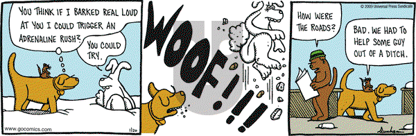 Overboard on Tuesday January 20, 2009 Comic Strip