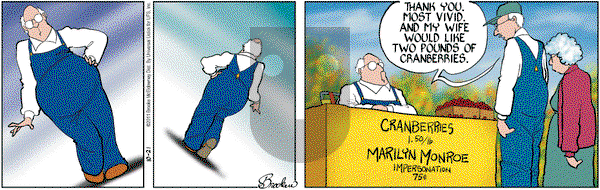 9 Chickweed Lane on Friday October 21, 2011 Comic Strip
